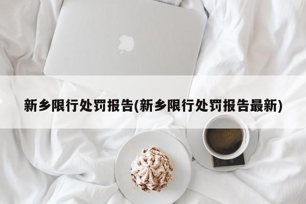 新乡限行处罚报告(新乡限行处罚报告最新)