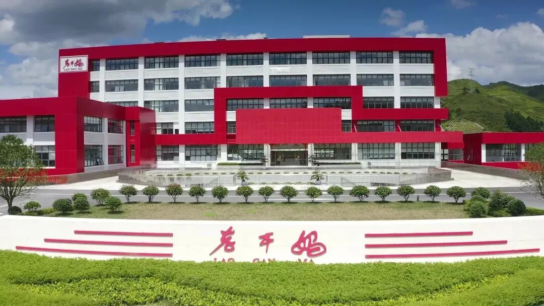 贵州省委书记调研老干妈分公司